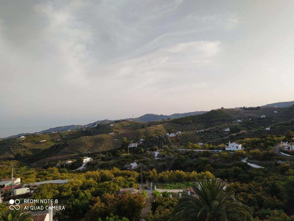 Apartamento En Frigiliana Eksteriør billede